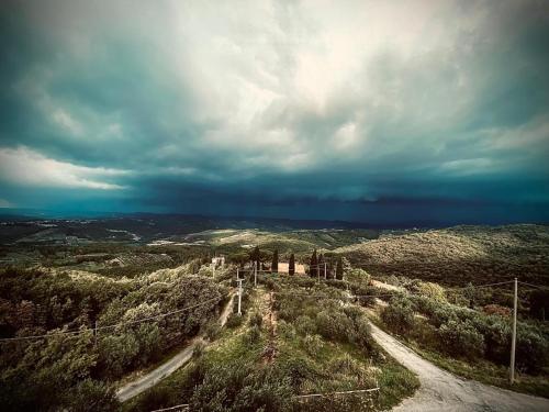 a view of a dirt road on a hill at Mansarda Isabella in Greve in Chianti