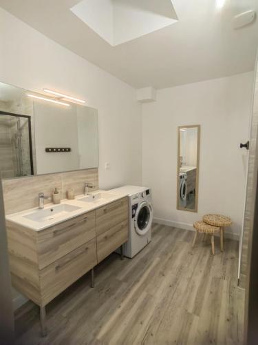une salle de bain avec un lavabo et une machine à laver dans l'établissement Bel appartement bord du Rhône, à Valence