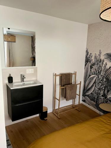 une salle de bain avec un lavabo et un miroir dans l'établissement Le XVII - Au cœur de Colmar, à Colmar