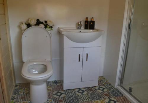 a bathroom with a white toilet and a sink at Apple blossom glamping in Kilkenny