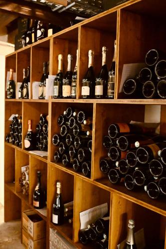 a shelf filled with lots of bottles of wine at Résidence hôtelière Le Provençal à Giens - Bord de mer in Hyères