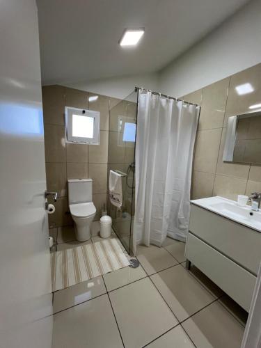 a bathroom with a toilet and a shower and a sink at Mine House in Calheta