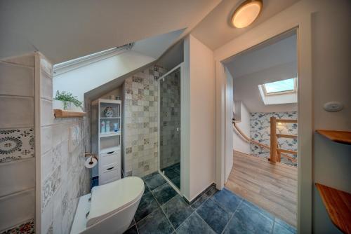 庫特納霍拉的住宿－Chaloupka u potoka，一间带卫生间和步入式淋浴间的浴室