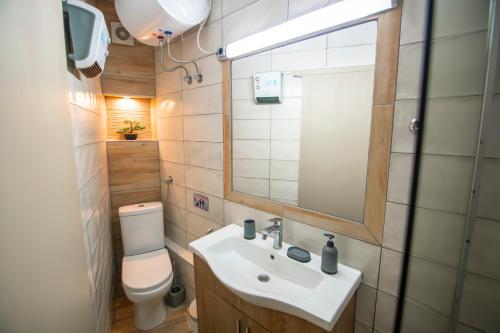 a bathroom with a sink and a toilet and a mirror at Perikleous 5 Diamerisma KONDOULIS HOUSE in Kalabaka