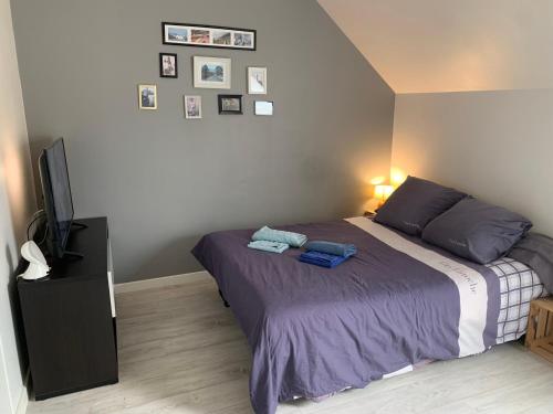 a bedroom with a bed and a flat screen tv at 96 Studio - Proche Disney & Paris - Tt équipée - calme - Parking privée in Pontcarré