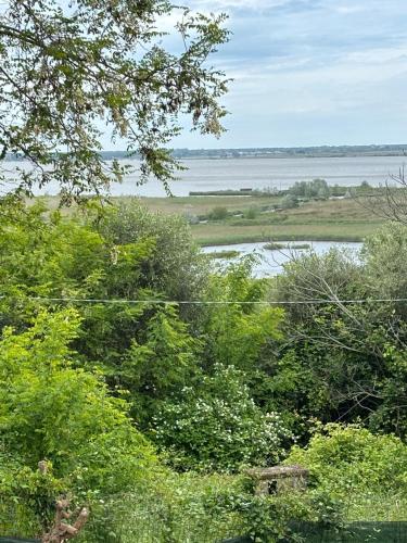 a view of a body of water and trees at Villa del Monte di Cocco in Massarosa
