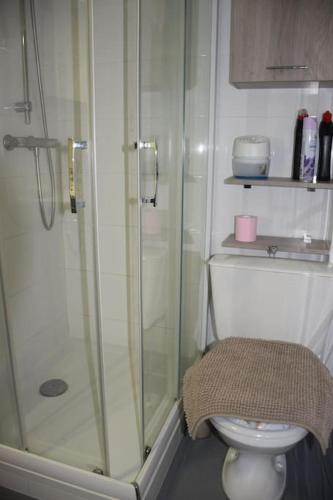 une salle de bain avec douche et toilettes dans l'établissement Les maisons de L'Océan, aux Mathes