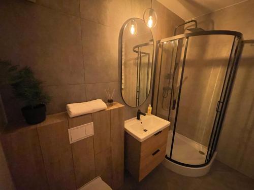 a bathroom with a shower and a sink and a mirror at Marcelin Business & Family in Poznań