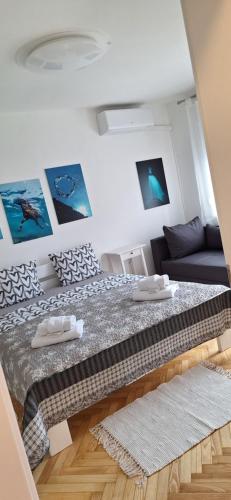 Aurora with the view