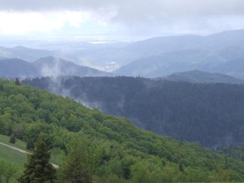 a view of a valley with trees and mountains at Hôtel Restaurant Wolf in Markstein 