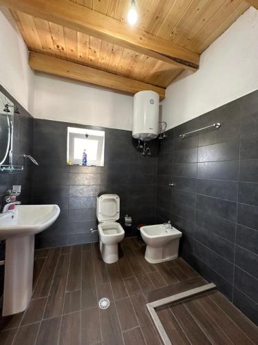 a bathroom with a toilet and a sink at Shtepi Druri Arber in Voskopojë