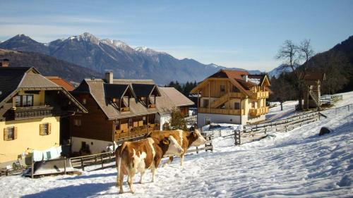 two cows standing in the snow in front of houses at Schönauerhof in Schlanitzen