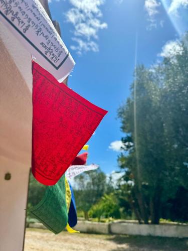 Gallery image of Trulli nel Bosco Itria Valley in Ceglie Messapica