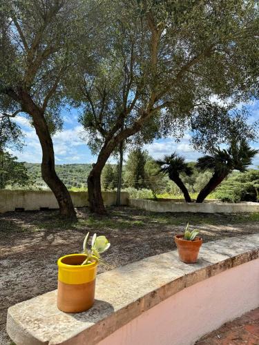 Gallery image of Trulli nel Bosco Itria Valley in Ceglie Messapica