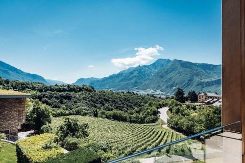a view of a vineyard and mountains from a house at Hotel Villa Madruzzo in Trento