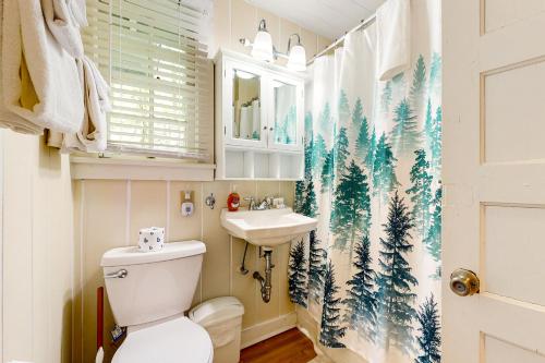a bathroom with a toilet and a sink at Bradley Bear Hideaway in Maggie Valley