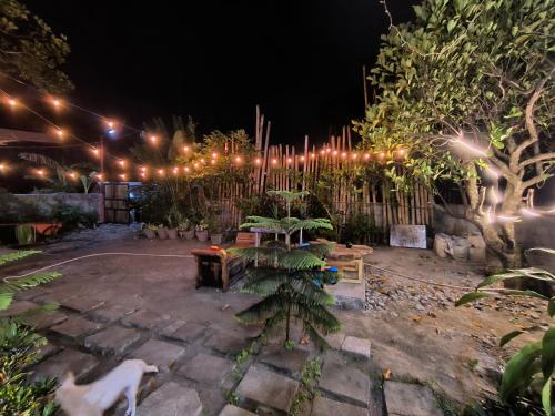 a garden at night with lights and a table at Bayabas Lounge in Amadeo