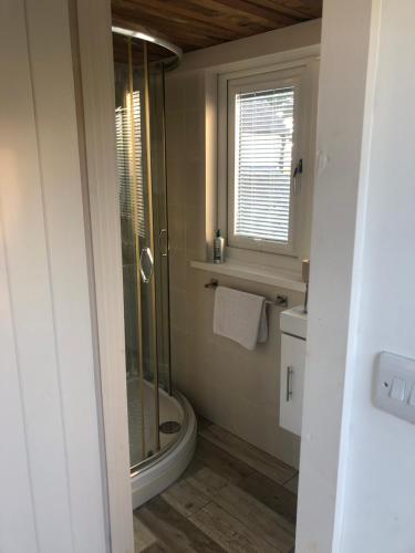 uma casa de banho com um chuveiro, um WC e uma janela. em Ger Tŷ em Swansea