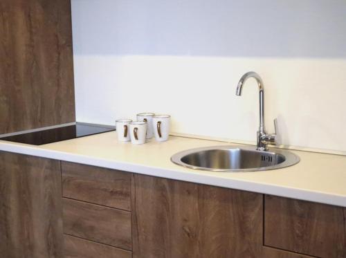 a kitchen counter with a sink in it at Apartmani Maksa in Stanovo