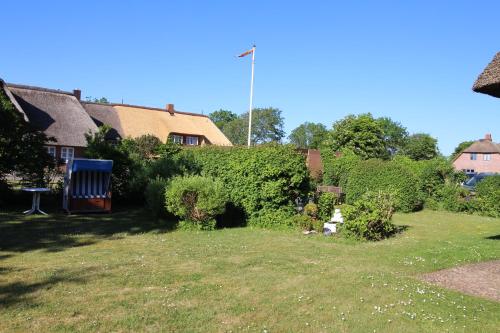 a yard with a dog sitting in the grass at Hotel garni Zur Post in Utersum