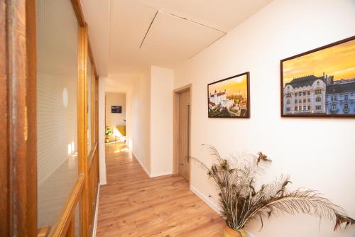 a hallway of a house with a plant at Blue Lotus Apartments in Bratislava