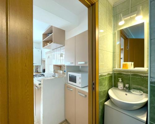 ブラショヴにあるSun Studio in Old Town Center - Quiet & Cozyのバスルーム(シンク、電子レンジ付)