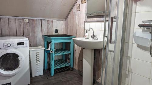 La petite salle de bains est pourvue d'un lavabo et d'un lave-linge. dans l'établissement Emplacement exceptionnel au Coeur de l'Ile aux Pies, à Saint-Vincent-sur-Oust