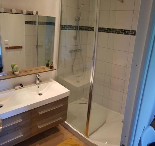 a bathroom with a shower and a sink and a shower at Le paradis des enfants in La Jarrie