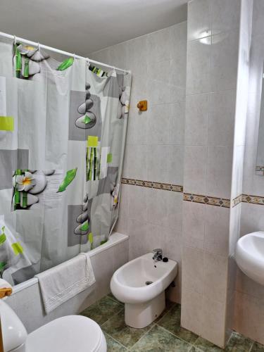 La salle de bains est pourvue de toilettes, d'un lavabo et d'une douche. dans l'établissement Piso Salamanca Vacaciones, à Salamanque