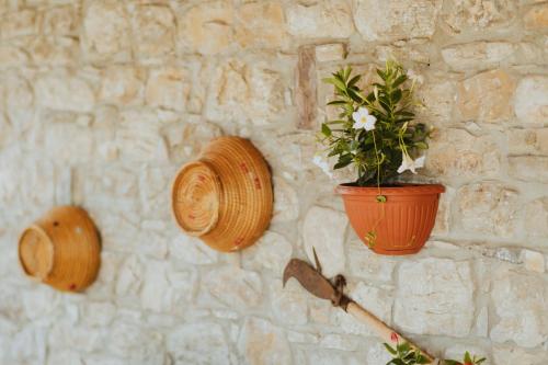 Φωτογραφία από το άλμπουμ του Villa Lemme σε Montenero di Bisaccia