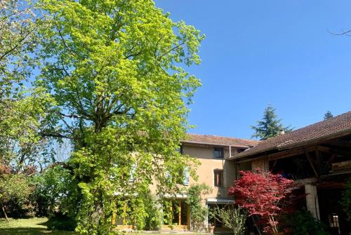 ein großer Baum vor einem Haus in der Unterkunft Vercors en Vert , chambres d'hôtes de charme in Saint-Romans