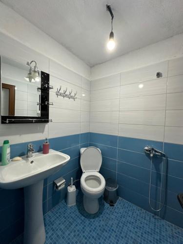 a blue and white bathroom with a toilet and a sink at Shtepi Druri Arber in Voskopojë