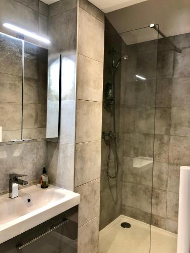 une salle de bain avec une douche et un lavabo et une douche dans l'établissement Charmant Studio Indépendant Le Broc avec parking privé, à Le Broc