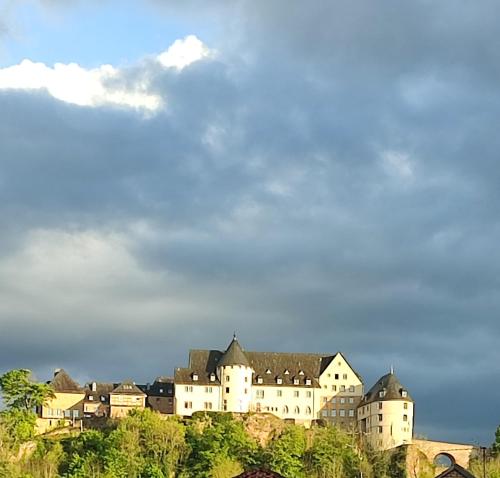 a large white castle on top of a hill at Villa Schöneck Bad Münster in Bad Kreuznach