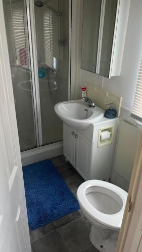 a bathroom with a toilet and a sink and a shower at Caravan home Clacton-On-Sea St Osyth in Saint Osyth