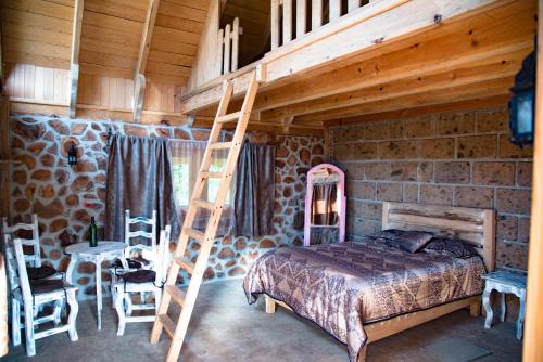 a bedroom with a bed and a ladder in a room at Canto del Bosque Santuario de las luciernagas in Nanacamilpa
