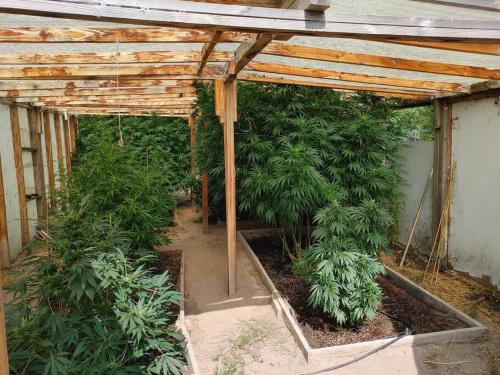 Fotografie z fotogalerie ubytování The Ganja Getaway v destinaci Arroyo Grande