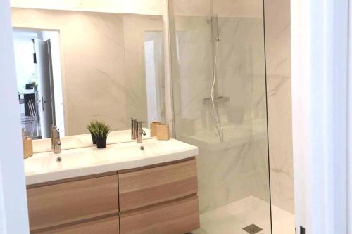 une salle de bain avec un lavabo et une douche dans l'établissement Carré Or - Standing Hyper centre plage 2 min, à Saint-Raphaël