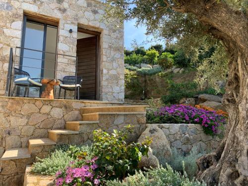 Κήπος έξω από το VILLA MACAGNA