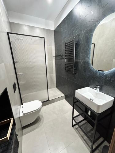 a bathroom with a toilet and a sink and a shower at Apartament No. 5 City Center in Świdnica