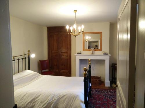 a bedroom with a bed with a fireplace and a mirror at La Maison Bleue in Exideuil