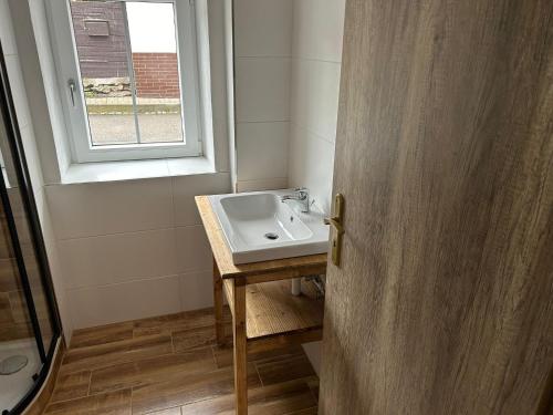 a bathroom with a sink and a window at Penzion s rafty in Vyšší Brod