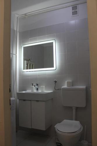 a bathroom with a toilet and a sink and a mirror at Apartman Black River in Plitvička Jezera