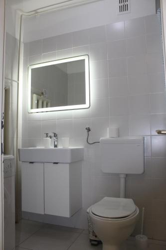 La salle de bains est pourvue de toilettes, d'un lavabo et d'un miroir. dans l'établissement Apartman Black River, aux lacs de Plitvice