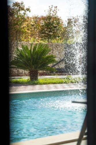 a swimming pool with a fountain and a palm tree at Villa Grande Arche Istria in Ližnjan