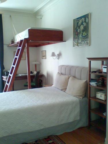 a bedroom with a bunk bed with a ladder at Au premier in Geneva