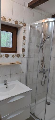 y baño con ducha y lavamanos. en niezapominajka-jura, en Niegowa