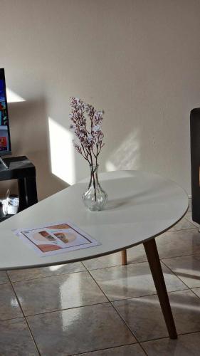 a vase of flowers sitting on a table at Kofinaki apartment 2 in Tycherón