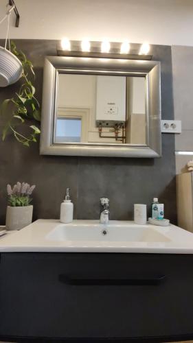 bagno con lavandino e specchio di Olive Tree City Apartment a Zagabria