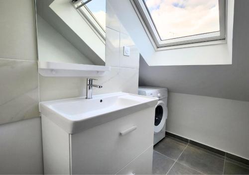une salle de bain avec un lavabo et une machine à laver dans l'établissement Top Central Tours - Vue Basilique Saint Martin, à Tours
